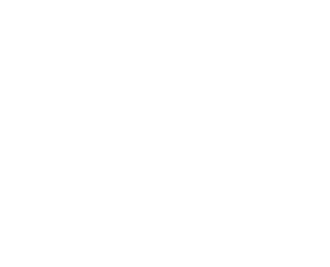 Weiße, stilisierte Illustration einer jungen Pflanze mit zwei Blättern und einem Stängel, symbolisiert Wachstum und Natur.