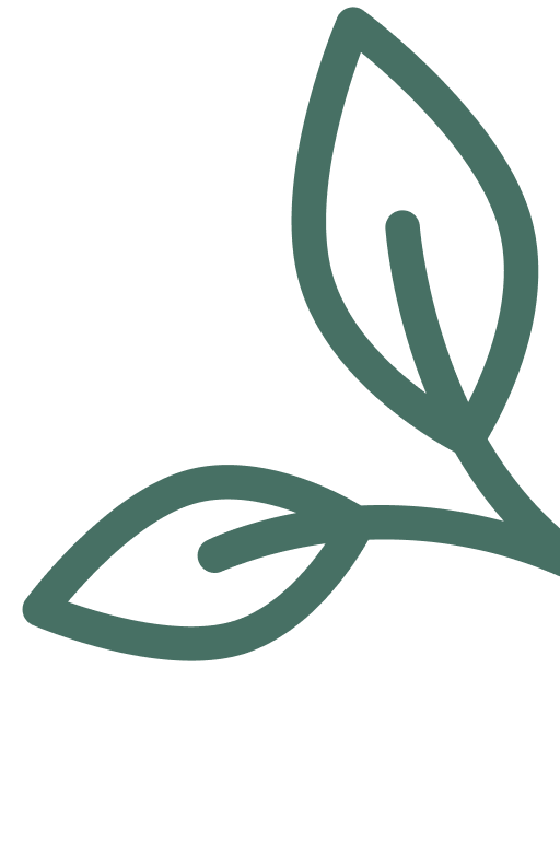 Eine minimalistische, stilisierte Illustration von zwei Blättern, einem großen an der Spitze und einem kleineren darunter, in dunkelgrüner Farbe.